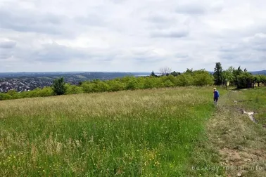 Mały Szlak Beskidzki, dzień 4, widok na Myślenice