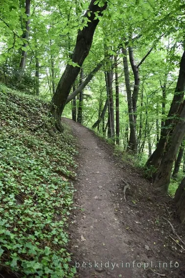 Mały Szlak Beskidzki, dzień 4