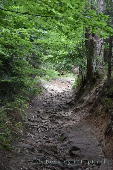 Mały Szlak Beskidzki, dzień 4