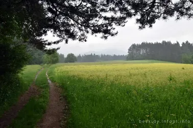 Mały Szlak Beskidzki, dzień 6