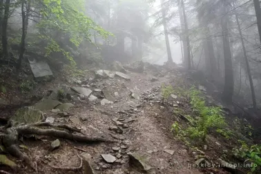 Mały Szlak Beskidzki, dzień 6, podejście pod Luboń Wielki