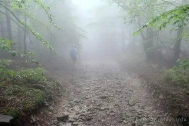 Mały Szlak Beskidzki, dzień 6, Luboń Wielki- zejście