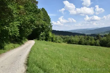 Mały Szlak Beskidzki, dzień 2, w drodze do Zembrzyc