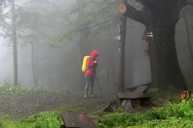 Mały Szlak Beskidzki, dzień 5, na Lubomirze