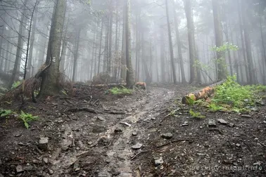 Mały Szlak Beskidzki, dzień 5