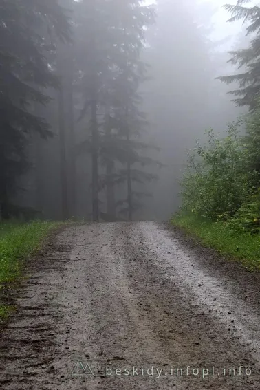 Mały Szlak Beskidzki, dzień 5