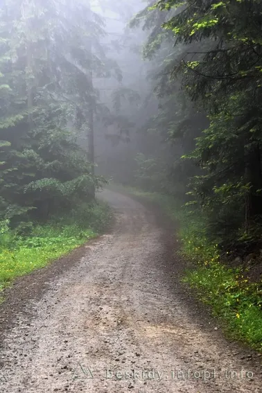 Mały Szlak Beskidzki, dzień 5