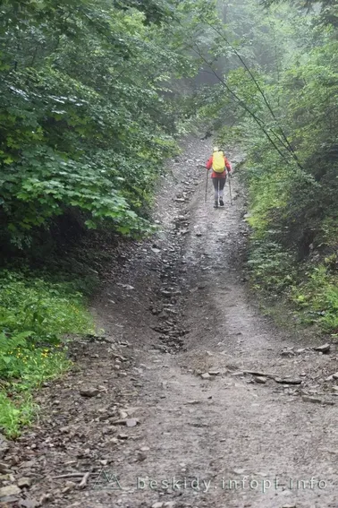 Mały Szlak Beskidzki, dzień 5