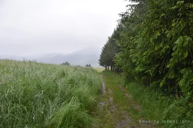 Mały Szlak Beskidzki, dzień 5, nad Mszaną Dolną