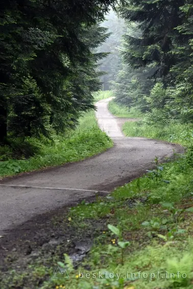 Mały Szlak Beskidzki, dzień 3