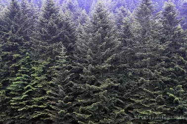 Mały Szlak Beskidzki, dzień 3