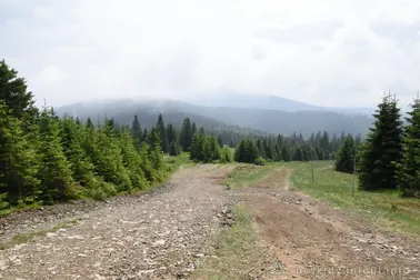 Szlak na Halę Miziową